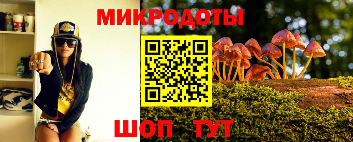 Галлюциногенные грибы Psilocybe  Псилоцибиновые грибы прущие грибы  Вход с VPN  Куйбышев 
