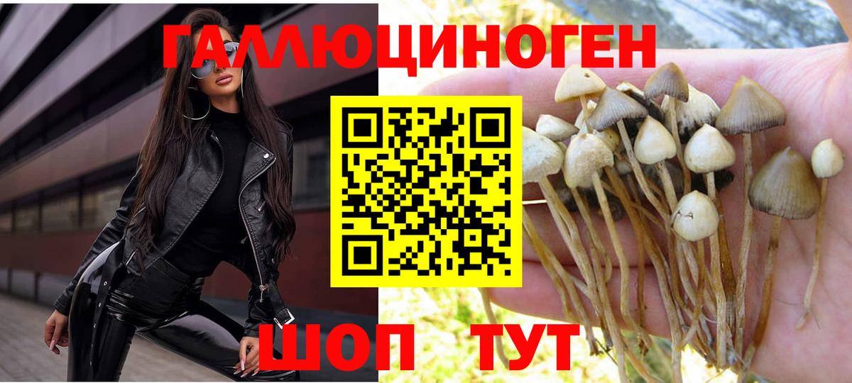 Псилоцибиновые грибы GOLDEN TEACHER Куйбышев